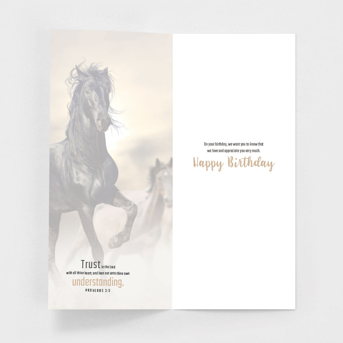 Horse Lover Son