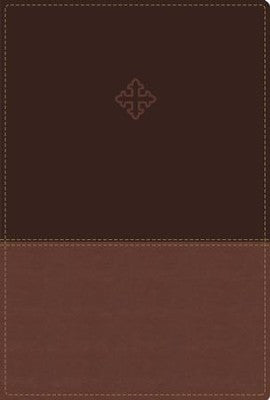 Amplified Bible