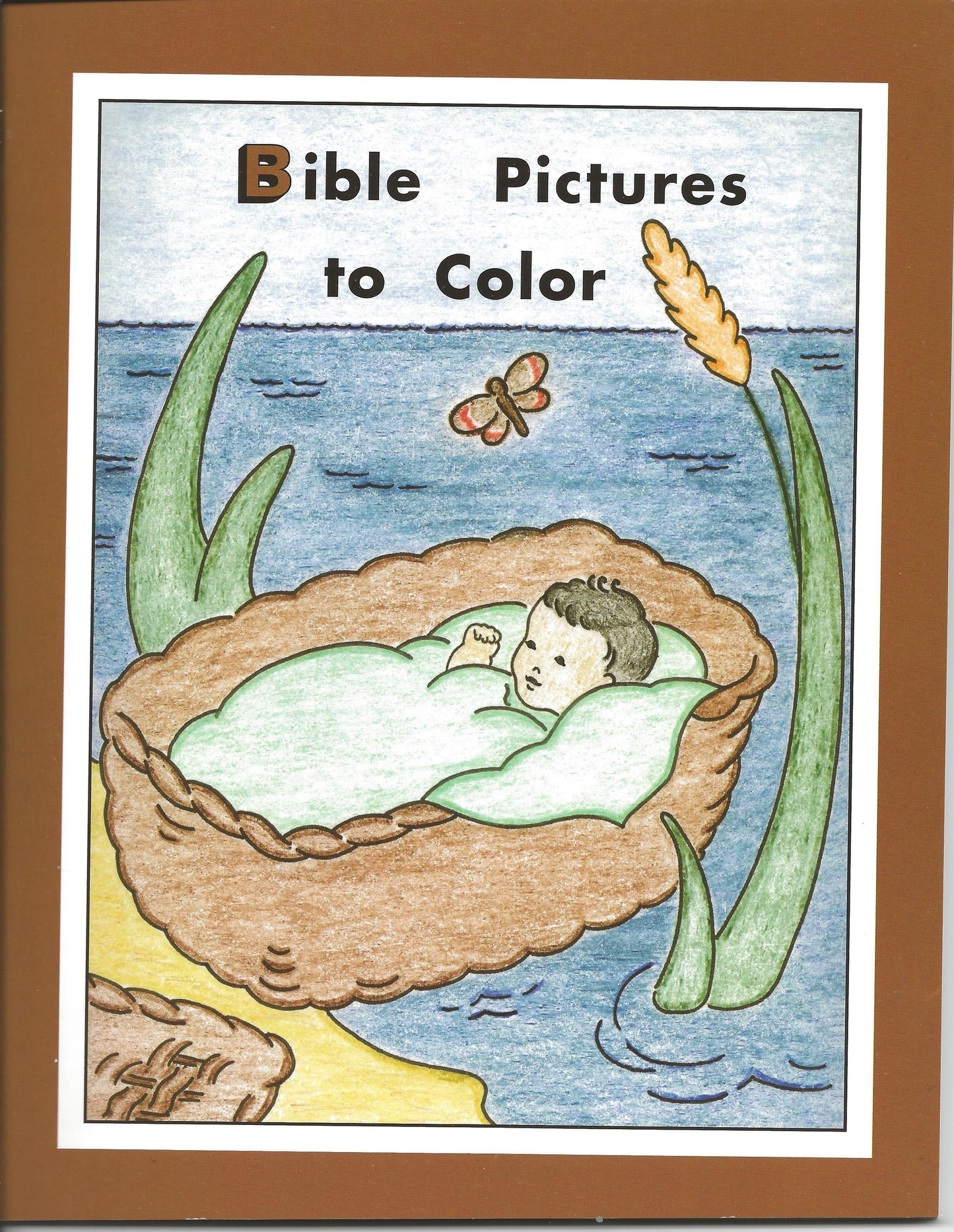 Bible Pictures to Color Activity Book