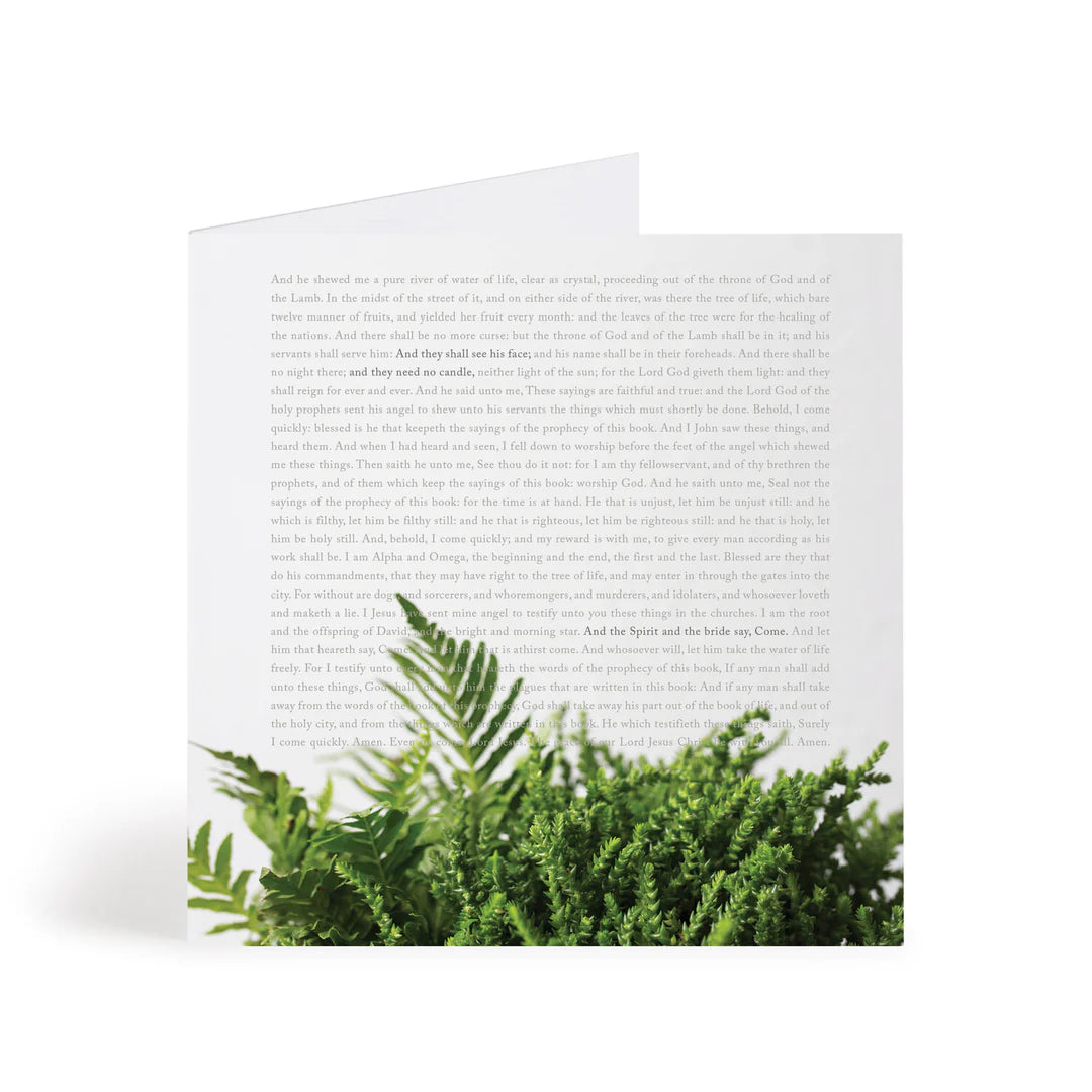 Micro Greens SQ Card
