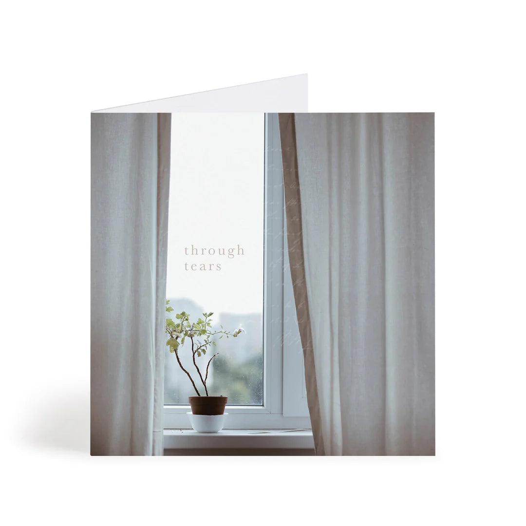 Window Plant Sq. Card