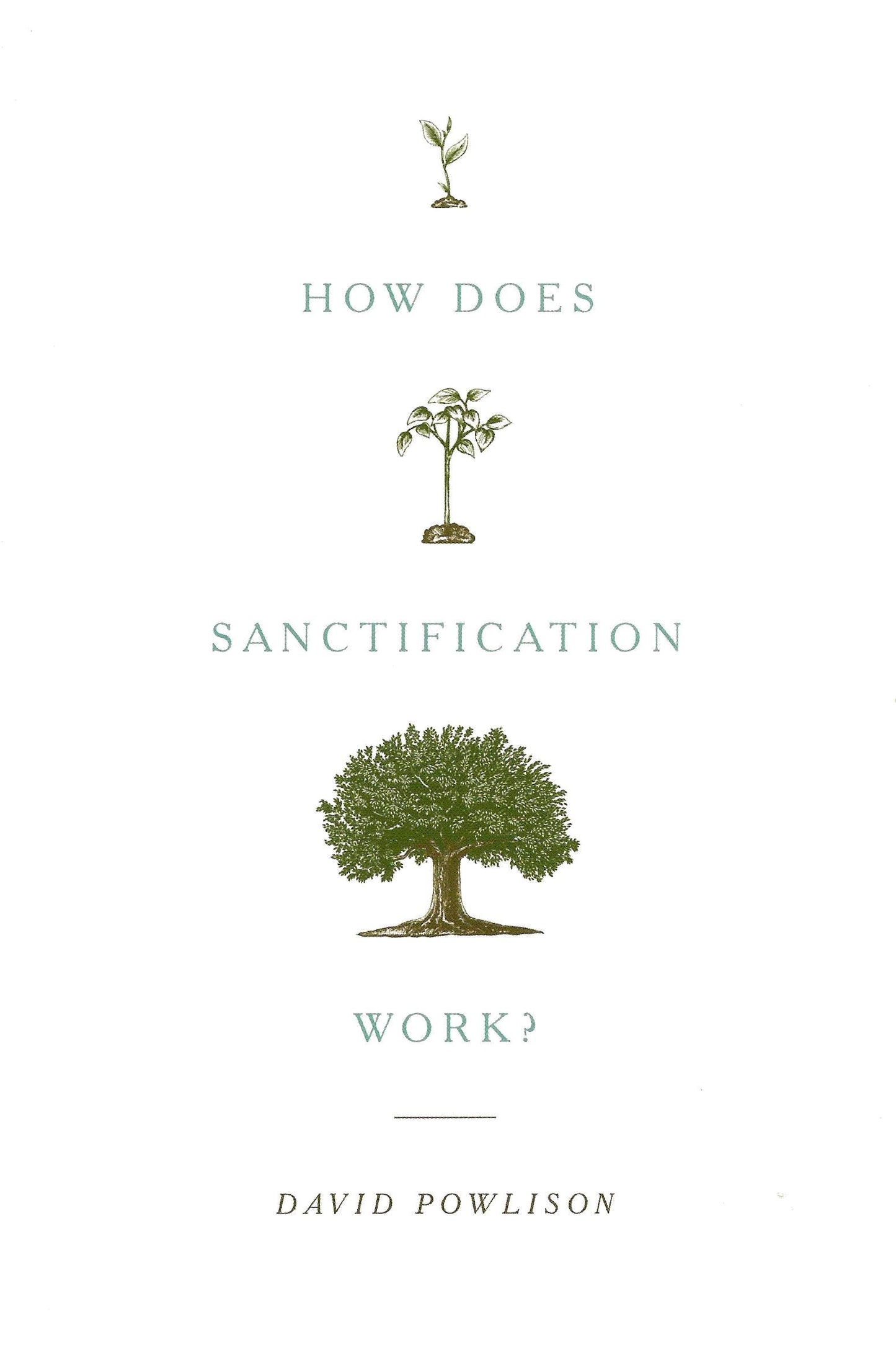 How Does Sanctification Work