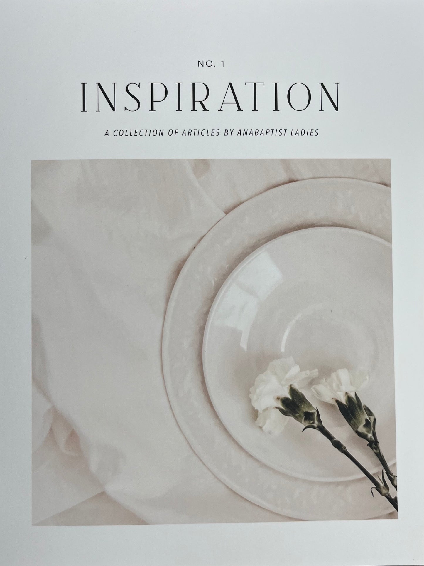 Inspiration 1