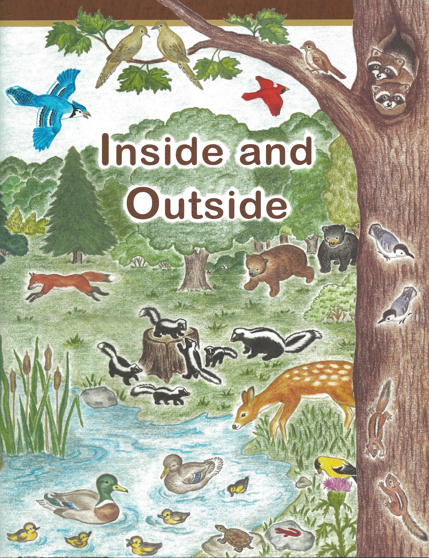 Inside and Outside