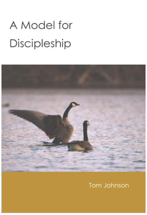 A Model of Discipleship
