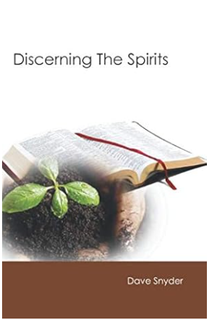 Discerning the Spirits
