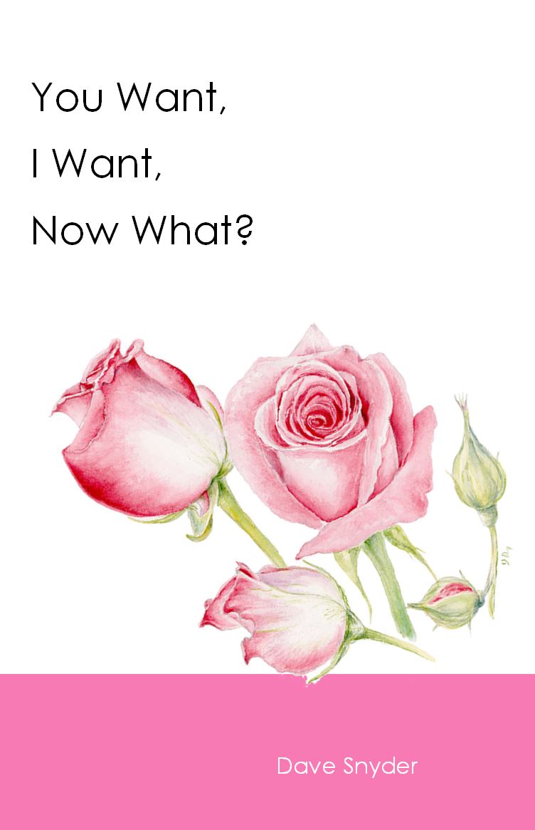 You Want, I Want… Now What?