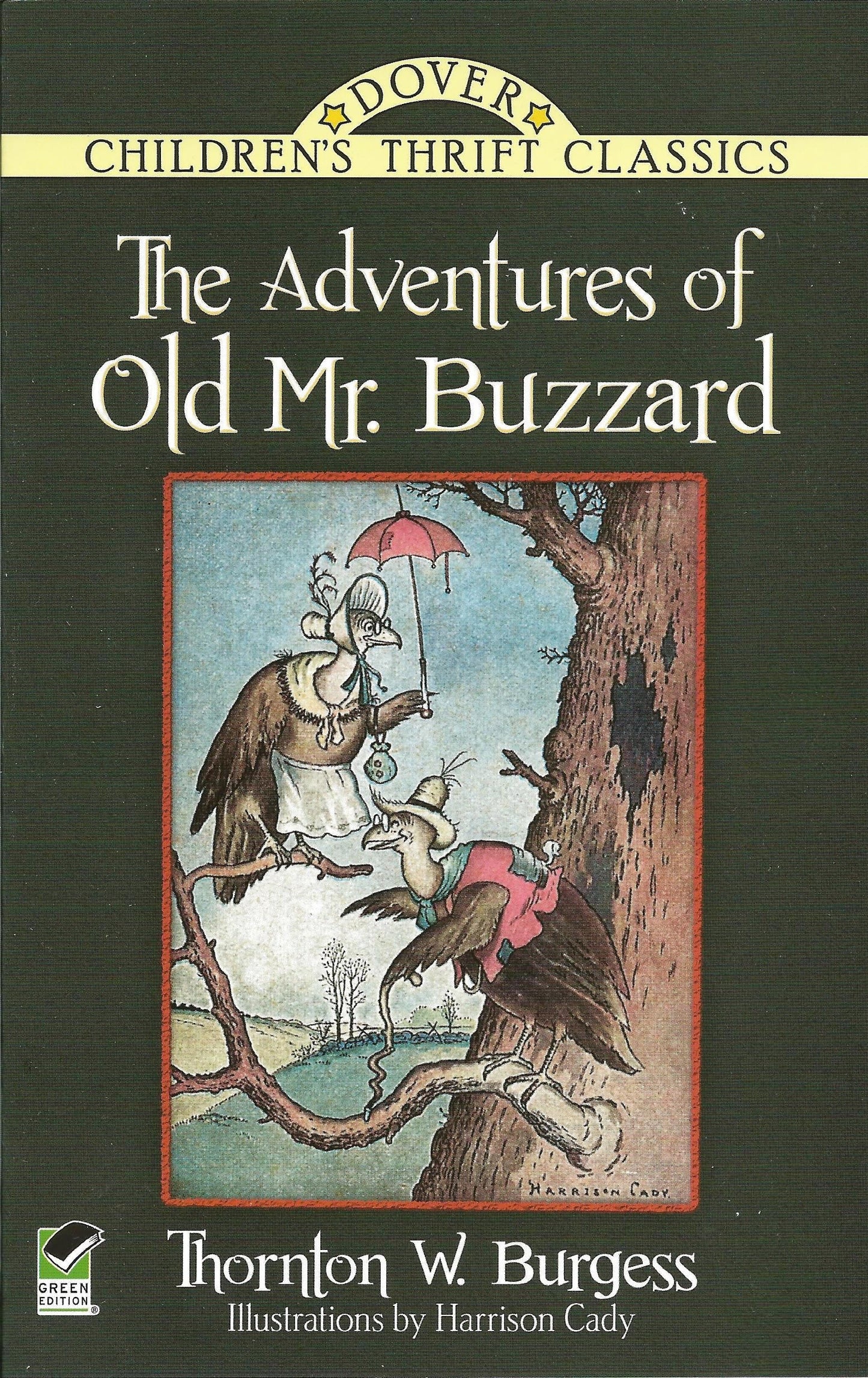 The Adventures of Old Mr. Buzzard