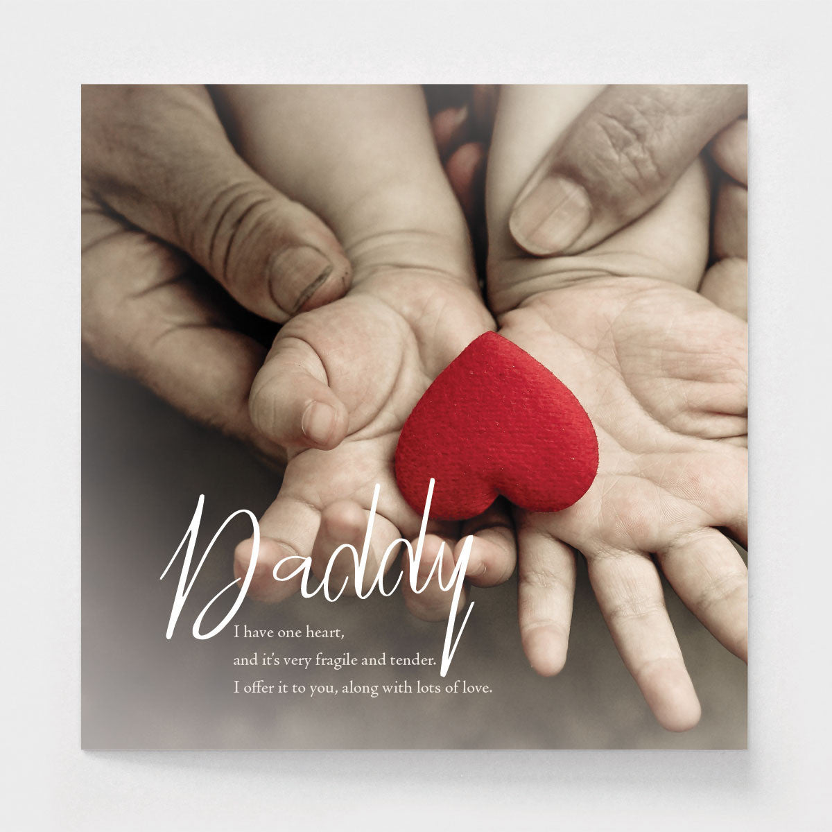 Fragile Tender Heart