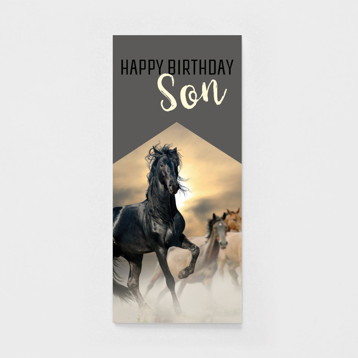 Horse Lover Son