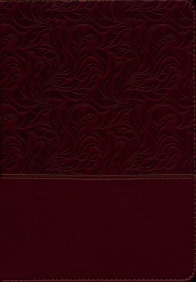 NKJV Full Color Study Bible