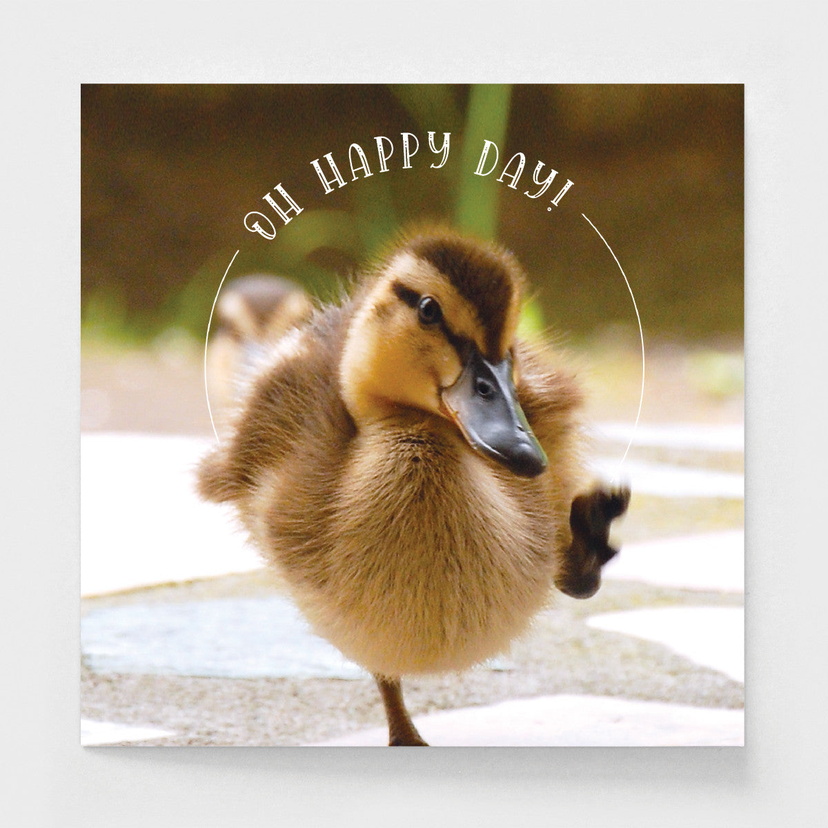 Oh Happy Day