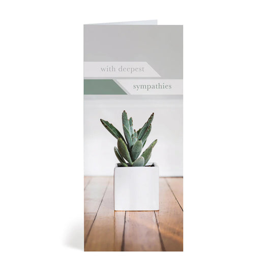 Succulent T card