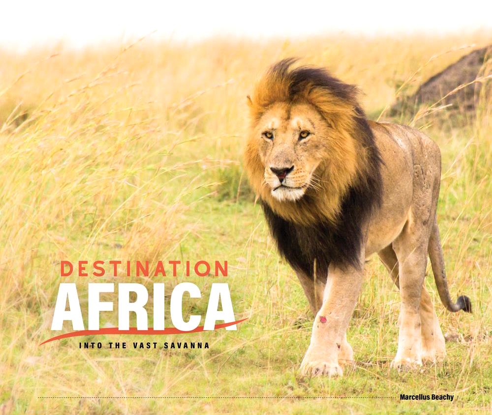 Destination Africa