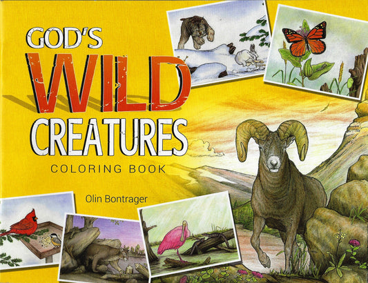 God's Wild Creatures Coloring Book