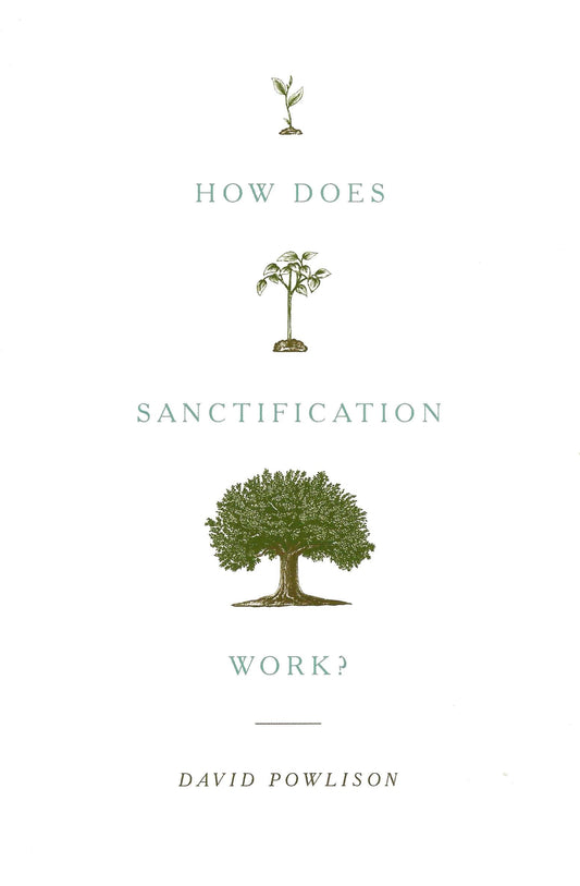 How Does Sanctification Work