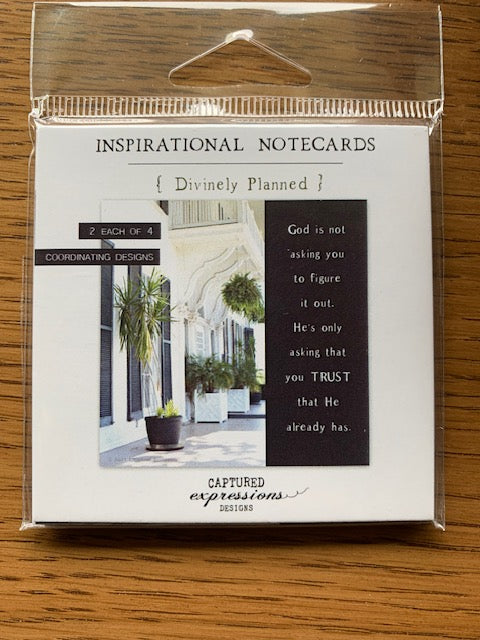 Divinely Planned Notecard Set