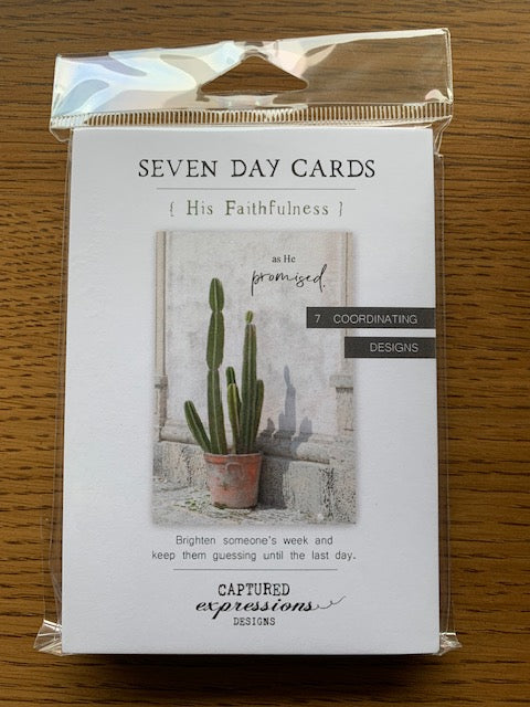 His Faithfulness 7 Day Notecard Set