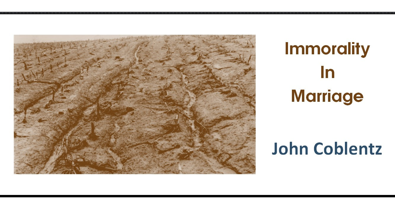 Immorality in Marriage MP3  Flash Drive