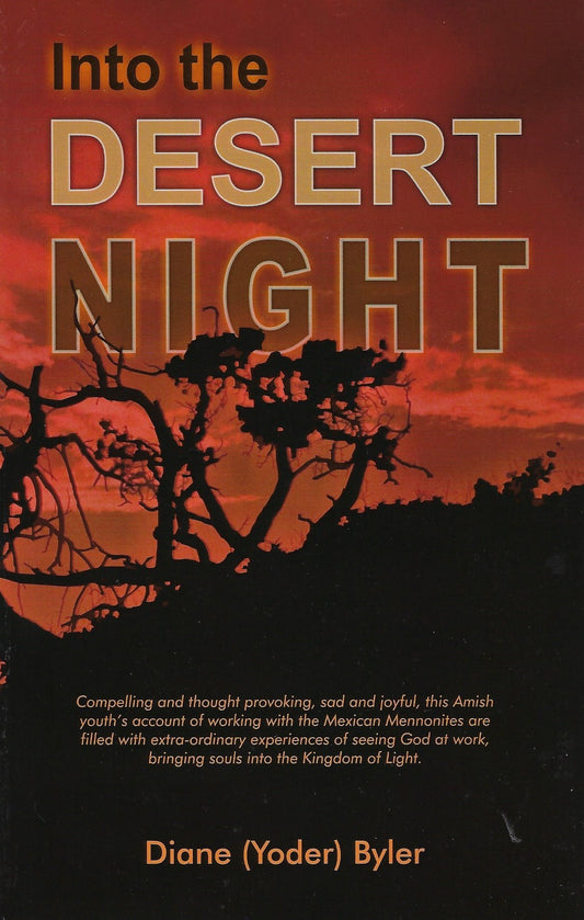 Into the Desert Night