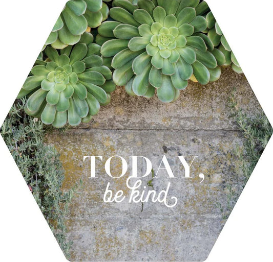 Today, Be Kind - magnet