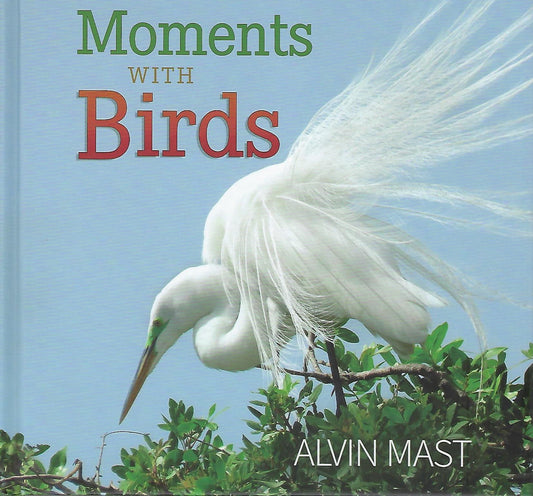 Moments with Birds