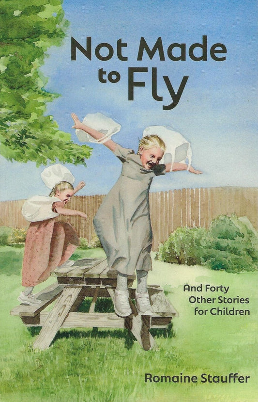 Not Made to Fly