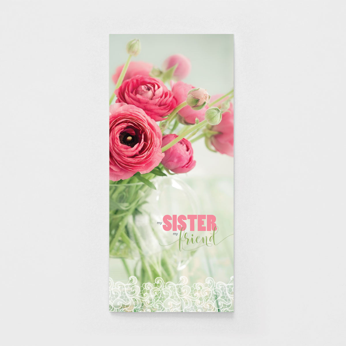 Pink Ranunculus Sister