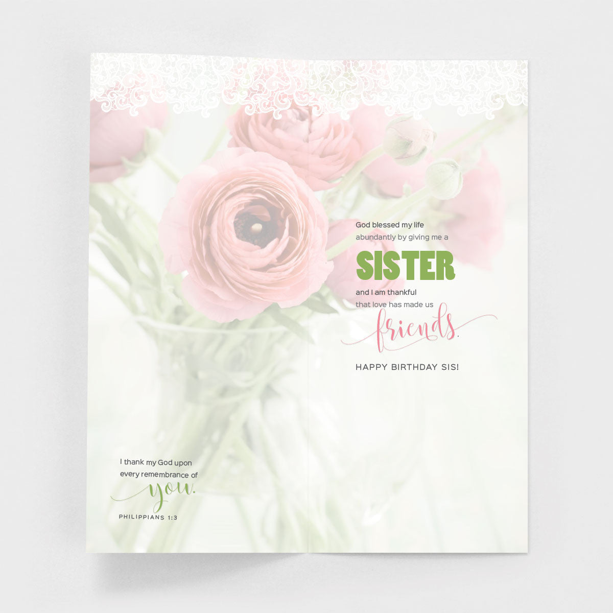 Pink Ranunculus Sister