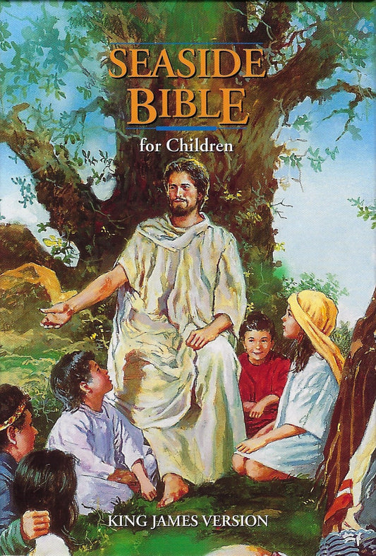 KJV Children's Bible Seaside