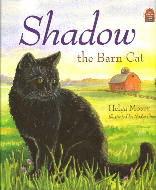Shadow the Barn Cat