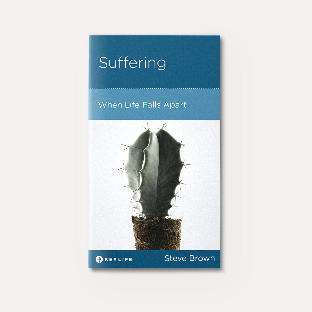 Suffering: When Life Falls Apart