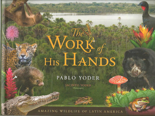 The Work of His Hands