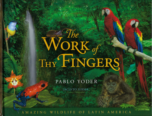 The Work of Thy Fingers