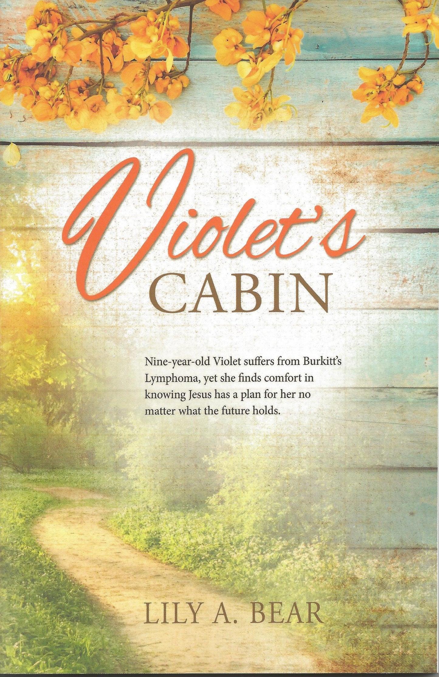 Violet's Cabin