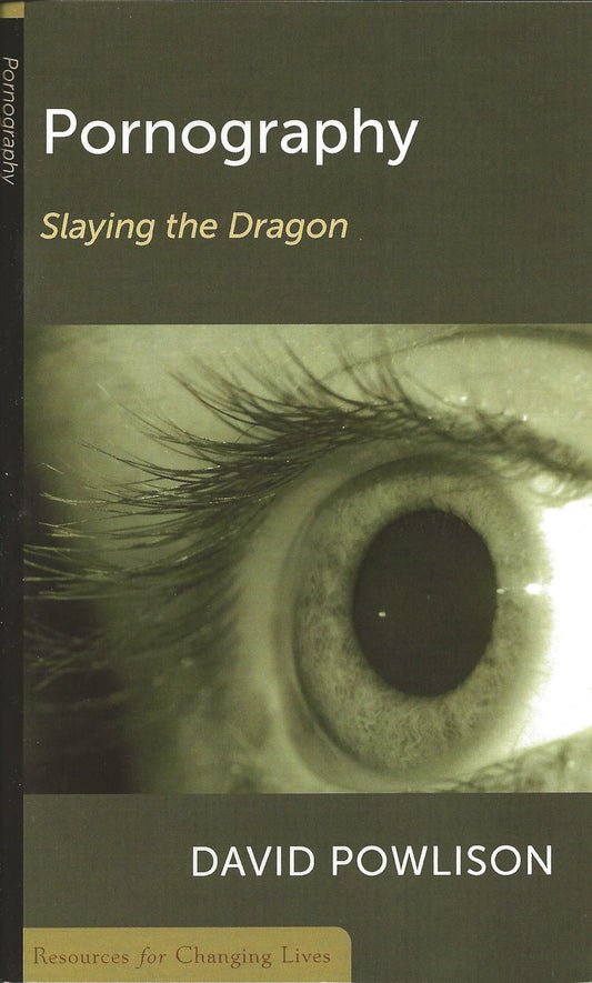 Pornography - Slaying the Dragon